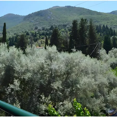 Πανσιόν Odysseia And 3*